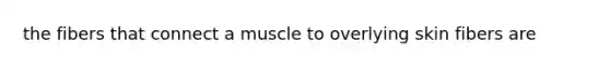 the fibers that connect a muscle to overlying skin fibers are