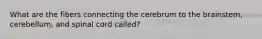 What are the fibers connecting the cerebrum to the brainstem, cerebellum, and spinal cord called?