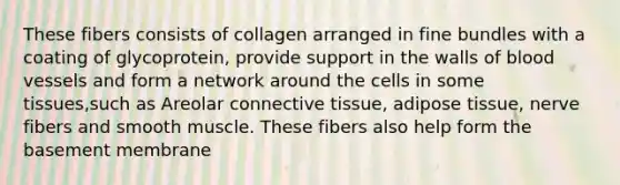 These fibers consists of collagen arranged in fine bundles with a coating of glycoprotein, provide support in the walls of blood vessels and form a network around the cells in some tissues,such as Areolar connective tissue, adipose tissue, nerve fibers and smooth muscle. These fibers also help form the basement membrane