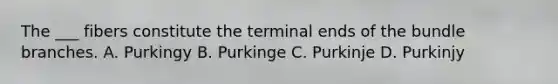 The ___ fibers constitute the terminal ends of the bundle branches. A. Purkingy B. Purkinge C. Purkinje D. Purkinjy