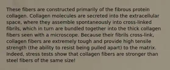 These fibers are constructed primarily of the fibrous protein collagen. Collagen molecules are secreted into the extracellular space, where they assemble spontaneously into cross-linked fibrils, which in turn are bundled together into the thick collagen fibers seen with a microscope. Because their fibrils cross-link, collagen fibers are extremely tough and provide high tensile strength (the ability to resist being pulled apart) to the matrix. Indeed, stress tests show that collagen fibers are stronger than steel fibers of the same size!