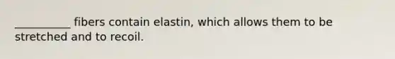 __________ fibers contain elastin, which allows them to be stretched and to recoil.