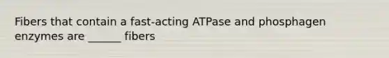 Fibers that contain a fast-acting ATPase and phosphagen enzymes are ______ fibers