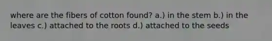where are the fibers of cotton found? a.) in the stem b.) in the leaves c.) attached to the roots d.) attached to the seeds