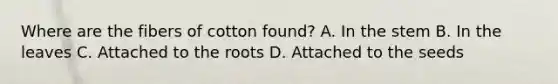 Where are the fibers of cotton found? A. In the stem B. In the leaves C. Attached to the roots D. Attached to the seeds