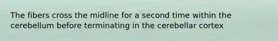 The fibers cross the midline for a second time within the cerebellum before terminating in the cerebellar cortex