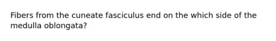 Fibers from the cuneate fasciculus end on the which side of the medulla oblongata?