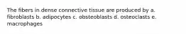 The fibers in dense connective tissue are produced by a. fibroblasts b. adipocytes c. obsteoblasts d. osteoclasts e. macrophages