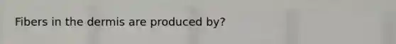 Fibers in <a href='https://www.questionai.com/knowledge/kEsXbG6AwS-the-dermis' class='anchor-knowledge'>the dermis</a> are produced by?