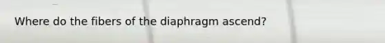 Where do the fibers of the diaphragm ascend?