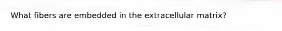 What fibers are embedded in the extracellular matrix?