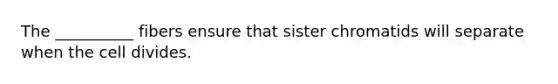 The __________ fibers ensure that sister chromatids will separate when the cell divides.