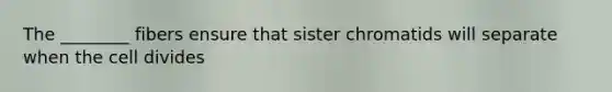 The ________ fibers ensure that sister chromatids will separate when the cell divides