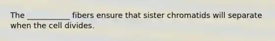 The ___________ fibers ensure that sister chromatids will separate when the cell divides.