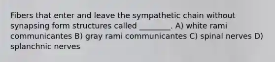 Fibers that enter and leave the sympathetic chain without synapsing form structures called ________. A) white rami communicantes B) gray rami communicantes C) spinal nerves D) splanchnic nerves