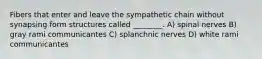 Fibers that enter and leave the sympathetic chain without synapsing form structures called ________. A) spinal nerves B) gray rami communicantes C) splanchnic nerves D) white rami communicantes