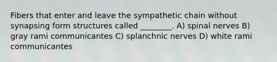 Fibers that enter and leave the sympathetic chain without synapsing form structures called ________. A) <a href='https://www.questionai.com/knowledge/kyBL1dWgAx-spinal-nerves' class='anchor-knowledge'>spinal nerves</a> B) gray rami communicantes C) splanchnic nerves D) white rami communicantes