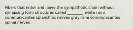 Fibers that enter and leave the sympathetic chain without synapsing form structures called ________. white rami communicantes splanchnic nerves gray rami communicantes spinal nerves