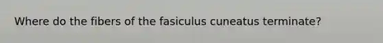 Where do the fibers of the fasiculus cuneatus terminate?