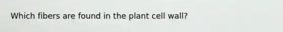 Which fibers are found in the plant cell wall?