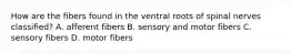 How are the fibers found in the ventral roots of spinal nerves classified? A. afferent fibers B. sensory and motor fibers C. sensory fibers D. motor fibers