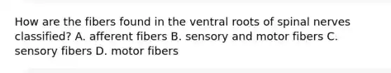 How are the fibers found in the ventral roots of spinal nerves classified? A. afferent fibers B. sensory and motor fibers C. sensory fibers D. motor fibers