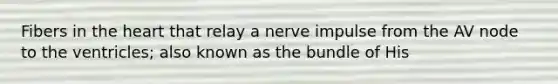 Fibers in the heart that relay a nerve impulse from the AV node to the ventricles; also known as the bundle of His