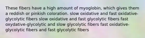 These fibers have a high amount of myoglobin, which gives them a reddish or pinkish coloration. slow oxidative and fast oxidative-glycolytic fibers slow oxidative and fast glycolytic fibers fast oxydative-glycolytic and slow glycolytic fibers fast oxidative-glycolytic fibers and fast glycolytic fibers