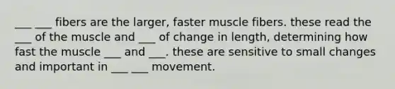 ___ ___ fibers are the larger, faster muscle fibers. these read the ___ of the muscle and ___ of change in length, determining how fast the muscle ___ and ___. these are sensitive to small changes and important in ___ ___ movement.