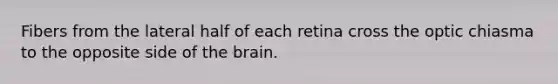 Fibers from the lateral half of each retina cross the optic chiasma to the opposite side of the brain.