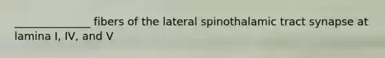 ______________ fibers of the lateral spinothalamic tract synapse at lamina I, IV, and V