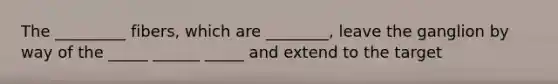 The _________ fibers, which are ________, leave the ganglion by way of the _____ ______ _____ and extend to the target