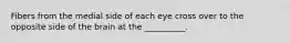 Fibers from the medial side of each eye cross over to the opposite side of the brain at the __________.