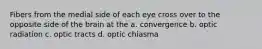 Fibers from the medial side of each eye cross over to the opposite side of the brain at the a. convergence b. optic radiation c. optic tracts d. optic chiasma