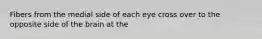 Fibers from the medial side of each eye cross over to the opposite side of the brain at the