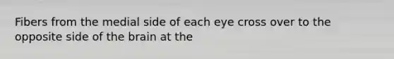 Fibers from the medial side of each eye cross over to the opposite side of the brain at the