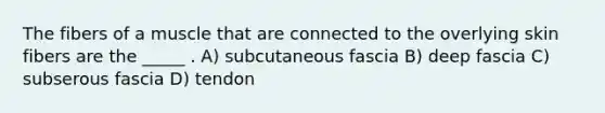 The fibers of a muscle that are connected to the overlying skin fibers are the _____ . A) subcutaneous fascia B) deep fascia C) subserous fascia D) tendon