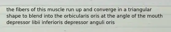 the fibers of this muscle run up and converge in a triangular shape to blend into the orbicularis oris at the angle of the mouth depressor libii inferioris depressor anguli oris