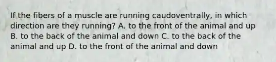 If the fibers of a muscle are running caudoventrally, in which direction are they running? A. to the front of the animal and up B. to the back of the animal and down C. to the back of the animal and up D. to the front of the animal and down