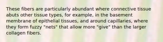 These fibers are particularly abundant where connective tissue abuts other tissue types, for example, in the basement membrane of epithelial tissues, and around capillaries, where they form fuzzy "nets" that allow more "give" than the larger collagen fibers.