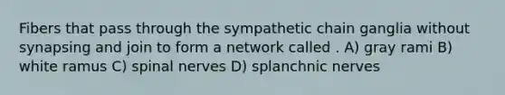 Fibers that pass through the sympathetic chain ganglia without synapsing and join to form a network called . A) gray rami B) white ramus C) spinal nerves D) splanchnic nerves