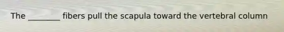 The ________ fibers pull the scapula toward the <a href='https://www.questionai.com/knowledge/ki4fsP39zf-vertebral-column' class='anchor-knowledge'>vertebral column</a>
