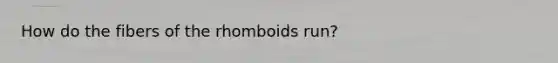 How do the fibers of the rhomboids run?