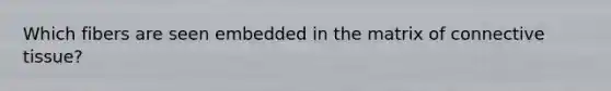 Which fibers are seen embedded in the matrix of connective tissue?