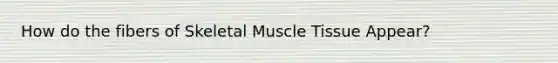 How do the fibers of Skeletal Muscle Tissue Appear?