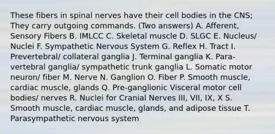 These fibers in <a href='https://www.questionai.com/knowledge/kyBL1dWgAx-spinal-nerves' class='anchor-knowledge'>spinal nerves</a> have their cell bodies in the CNS; They carry outgoing commands. (Two answers) A. Afferent, Sensory Fibers B. IMLCC C. Skeletal muscle D. SLGC E. Nucleus/ Nuclei F. Sympathetic Nervous System G. Reflex H. Tract I. Prevertebral/ collateral ganglia J. Terminal ganglia K. Para-vertebral ganglia/ sympathetic trunk ganglia L. Somatic motor neuron/ fiber M. Nerve N. Ganglion O. Fiber P. Smooth muscle, cardiac muscle, glands Q. Pre-ganglionic Visceral motor cell bodies/ nerves R. Nuclei for <a href='https://www.questionai.com/knowledge/kE0S4sPl98-cranial-nerves' class='anchor-knowledge'>cranial nerves</a> III, VII, IX, X S. Smooth muscle, cardiac muscle, glands, and adipose tissue T. Parasympathetic nervous system