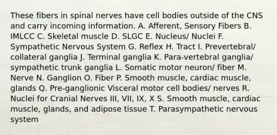 These fibers in <a href='https://www.questionai.com/knowledge/kyBL1dWgAx-spinal-nerves' class='anchor-knowledge'>spinal nerves</a> have cell bodies outside of the CNS and carry incoming information. A. Afferent, Sensory Fibers B. IMLCC C. Skeletal muscle D. SLGC E. Nucleus/ Nuclei F. Sympathetic Nervous System G. Reflex H. Tract I. Prevertebral/ collateral ganglia J. Terminal ganglia K. Para-vertebral ganglia/ sympathetic trunk ganglia L. Somatic motor neuron/ fiber M. Nerve N. Ganglion O. Fiber P. Smooth muscle, cardiac muscle, glands Q. Pre-ganglionic Visceral motor cell bodies/ nerves R. Nuclei for <a href='https://www.questionai.com/knowledge/kE0S4sPl98-cranial-nerves' class='anchor-knowledge'>cranial nerves</a> III, VII, IX, X S. Smooth muscle, cardiac muscle, glands, and adipose tissue T. Parasympathetic nervous system