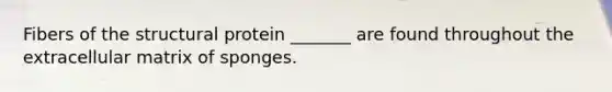 Fibers of the structural protein _______ are found throughout the extracellular matrix of sponges.