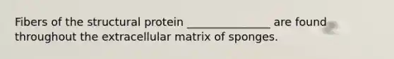 Fibers of the structural protein _______________ are found throughout the extracellular matrix of sponges.