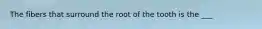 The fibers that surround the root of the tooth is the ___